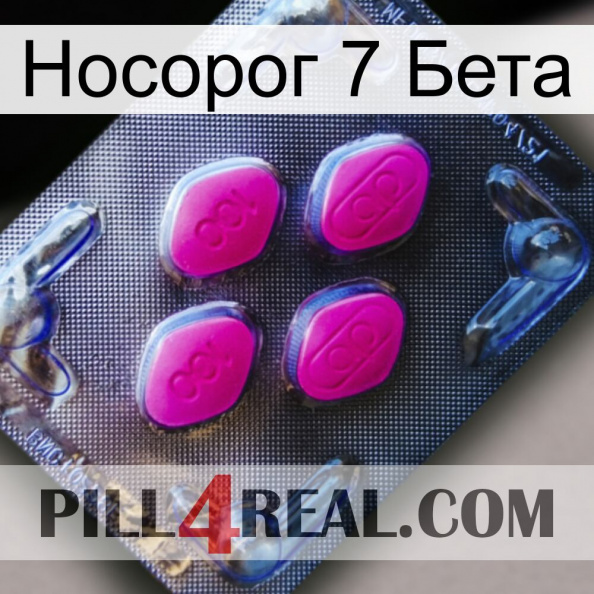 Носорог 7 Бета 02.jpg